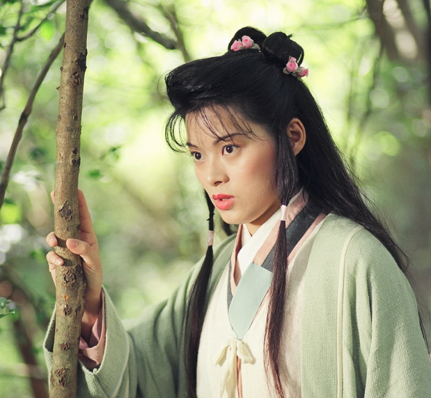97版《天龙八部》,段誉萧峰虚竹各有所爱,这些女子你喜欢谁?