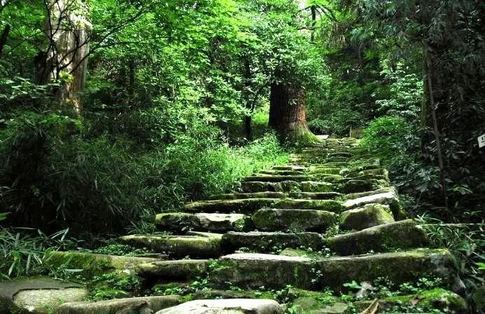 古道,高凌霄,八塘镇,璧山区,江朝宗,后湾村