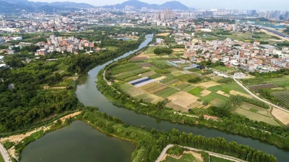 集美区,田头村,灌口镇,闽南,后溪镇