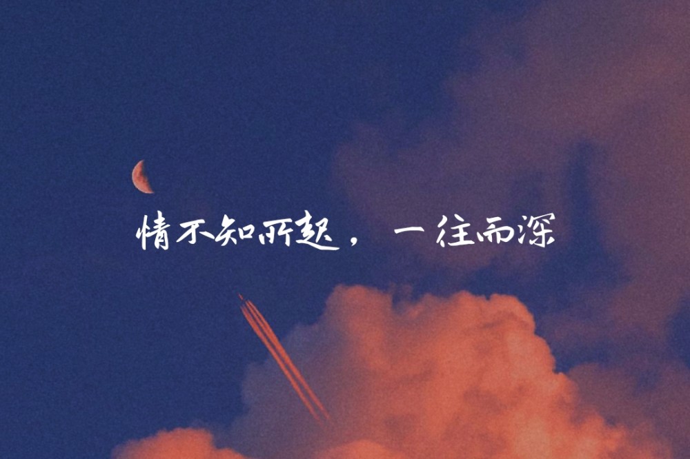 情不知所起,一往而深