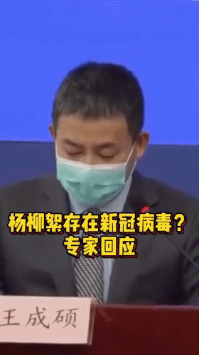 杨柳絮作为杨树,柳树的种子具有一定的致敏性.