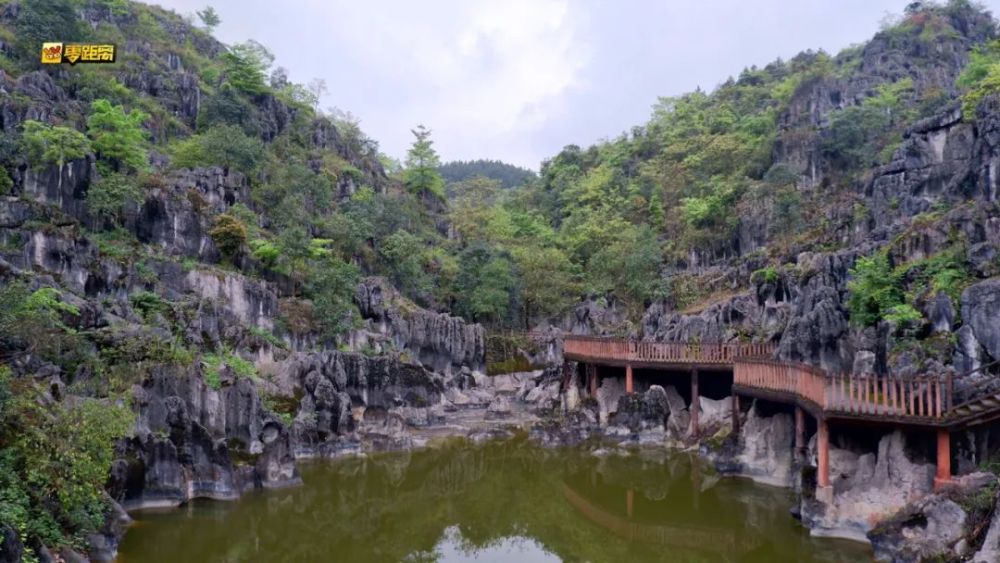 岩溶地貌教科书式的风景 峰林,峰丛,洼地,惟妙惟肖的石林 定会让你大