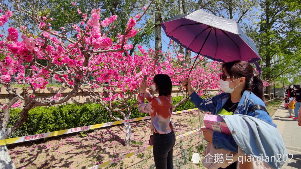 元大都遗址公园,海棠花溪,园林,游人