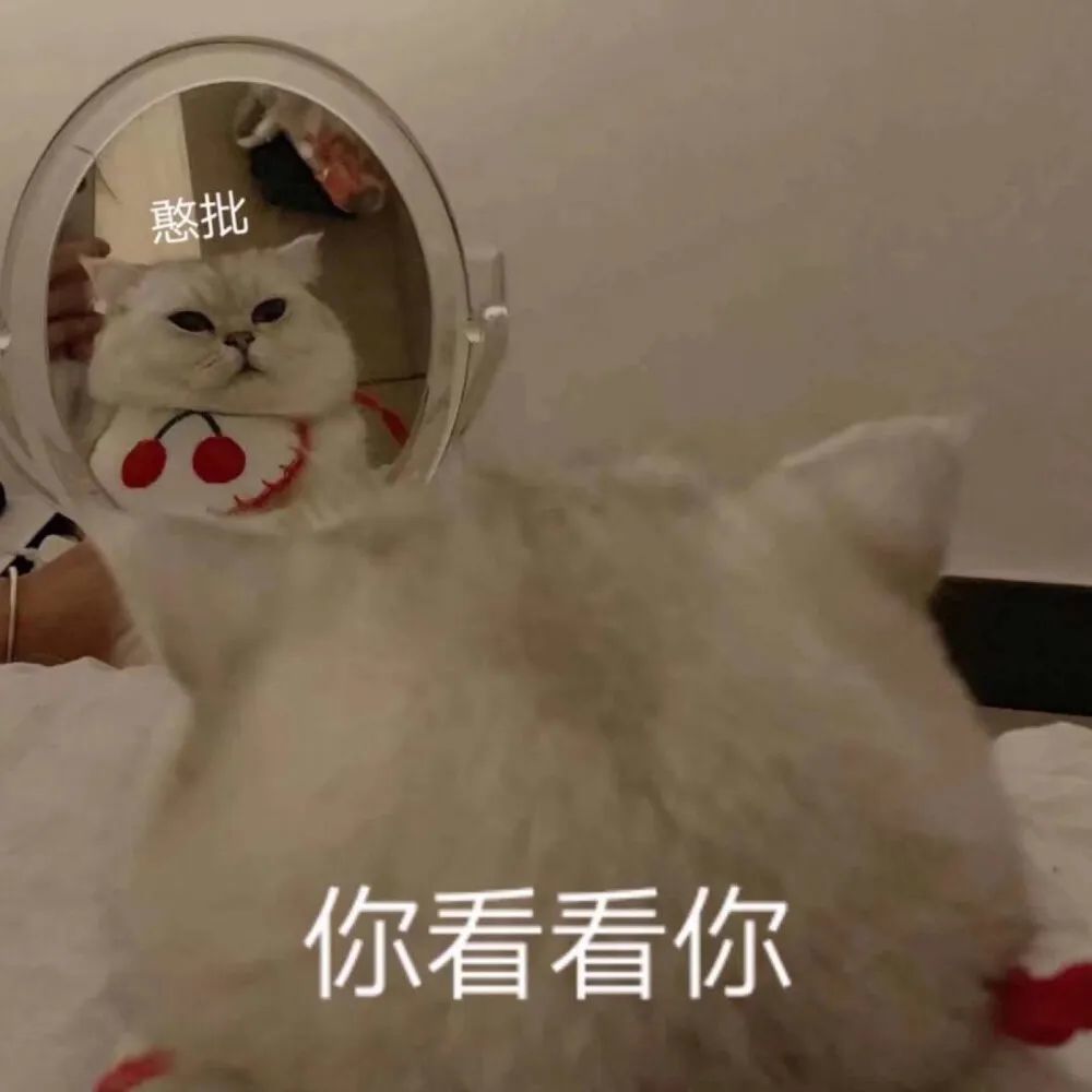 吃啥啥不剩 干啥啥不行