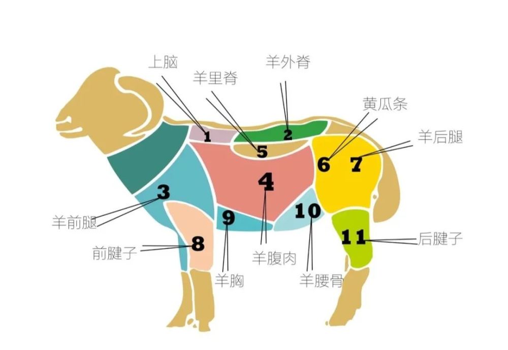 最全"羊肉"分解图