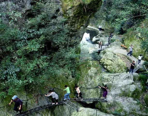 桃江县,益阳,景点,旅游景区,桃花江国家森林公园,桃花江竹海