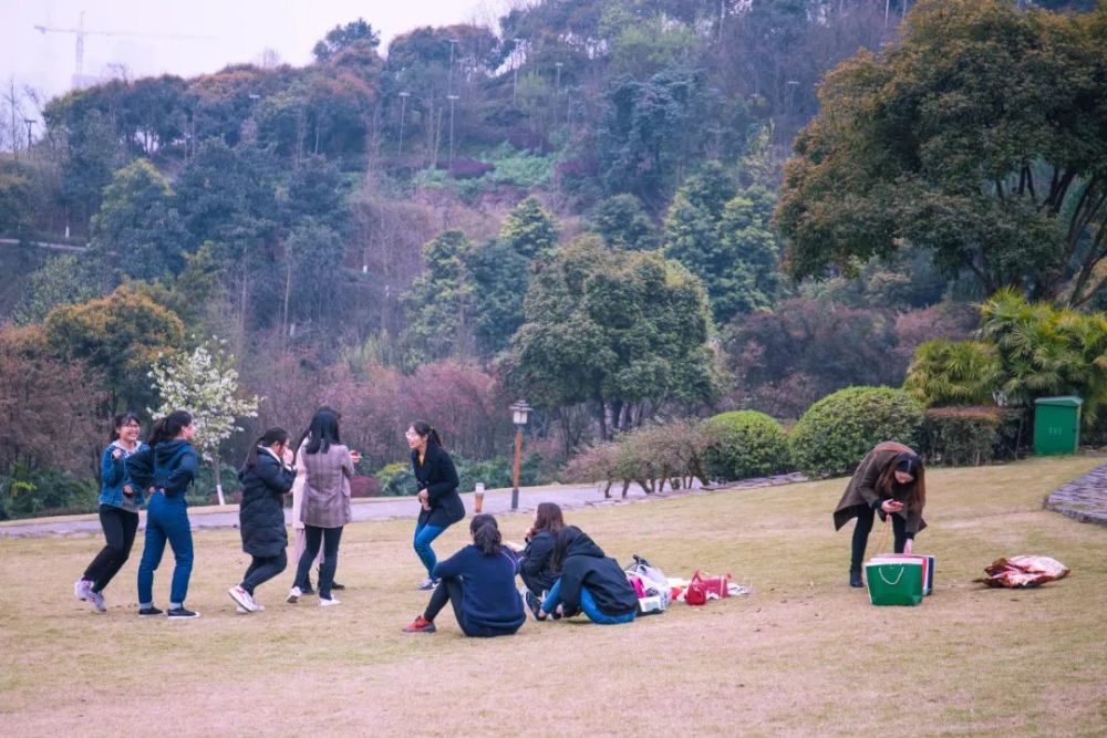 烧烤,露营,重庆,枫香湖儿童公园