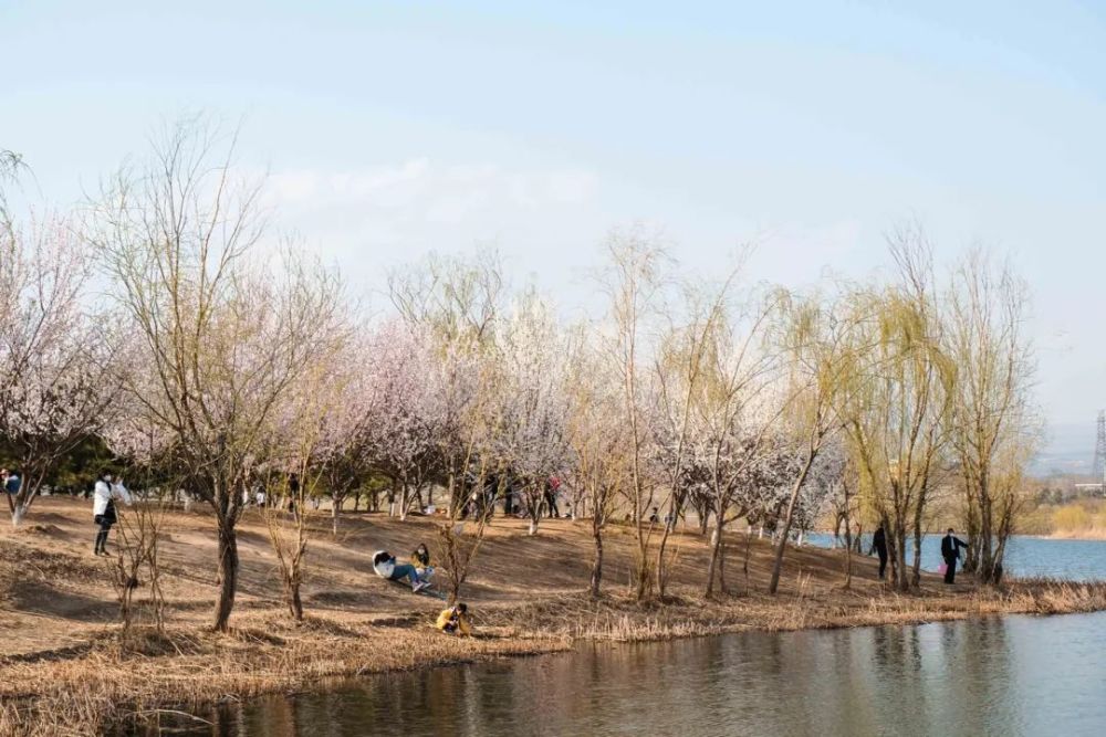 莲石湖的春日 不可辜负的风景 但不要忘了春游标配:口罩