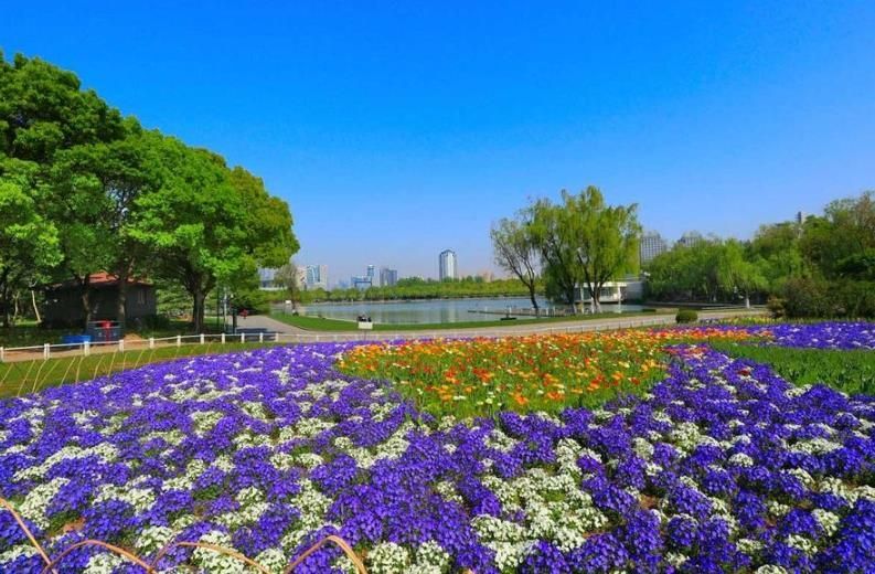 上海最大的城市公园,规划设计很不错,进去要收费,你去