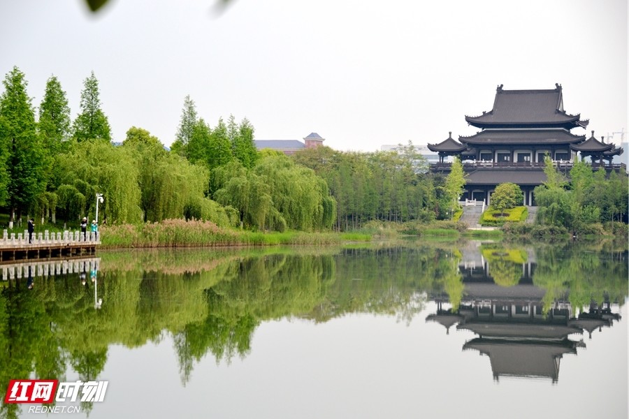 湘潭九华湖德文化公园:湖光山色春阳暖 不负时光不负卿