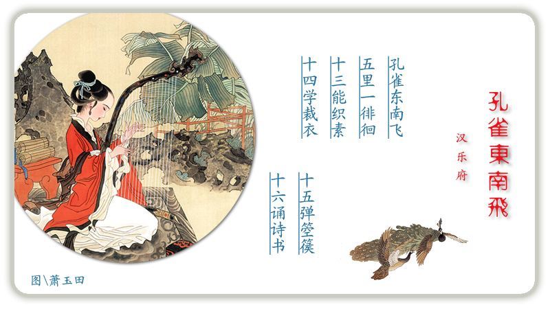 "孔雀"这道风景独特,杨丽萍大师演绎出其形神,却难解其开屏心结