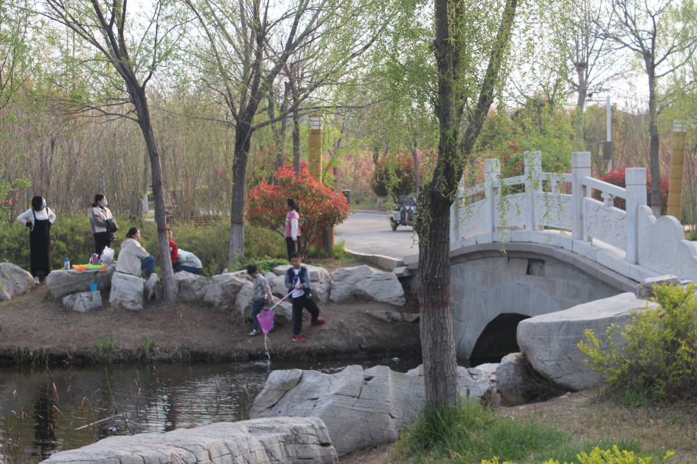 美丽的国家湿地公园——山东省聊城市茌平区天鹅湖湿地公园内游人如织