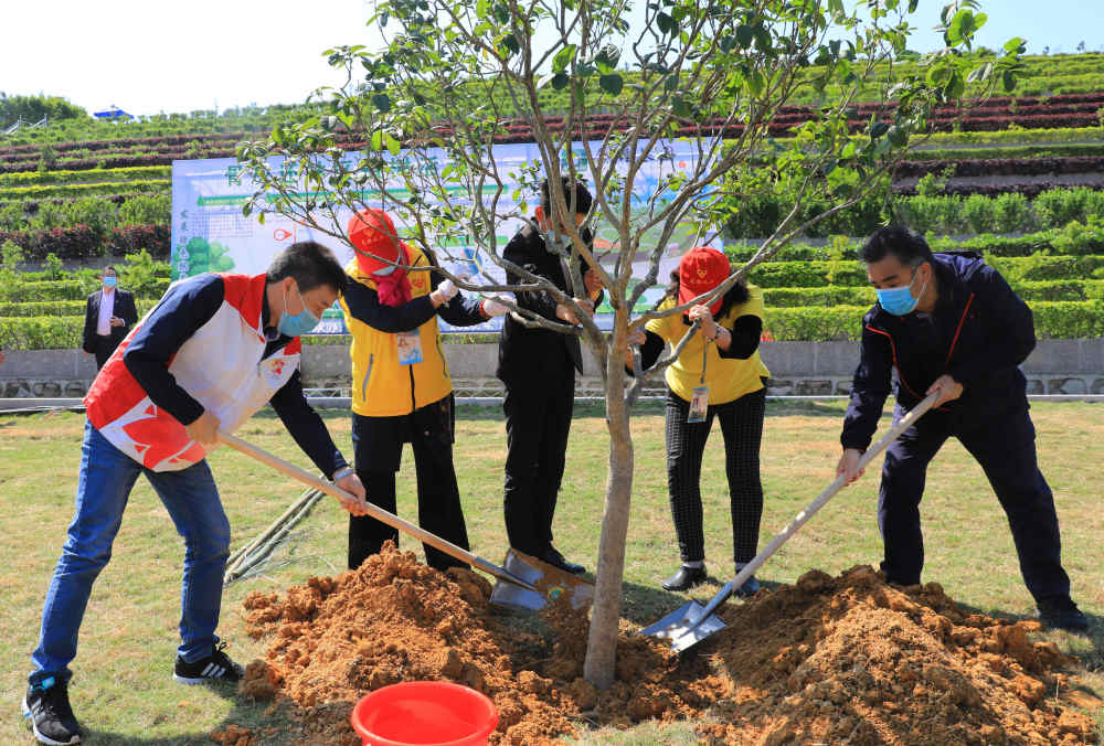 广州正筹建多个骨灰植树还林点,他们将思念种成一颗树