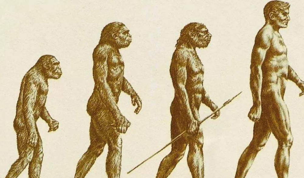 人类的祖先究竟是谁?不是南方古猿?至今争议不断
