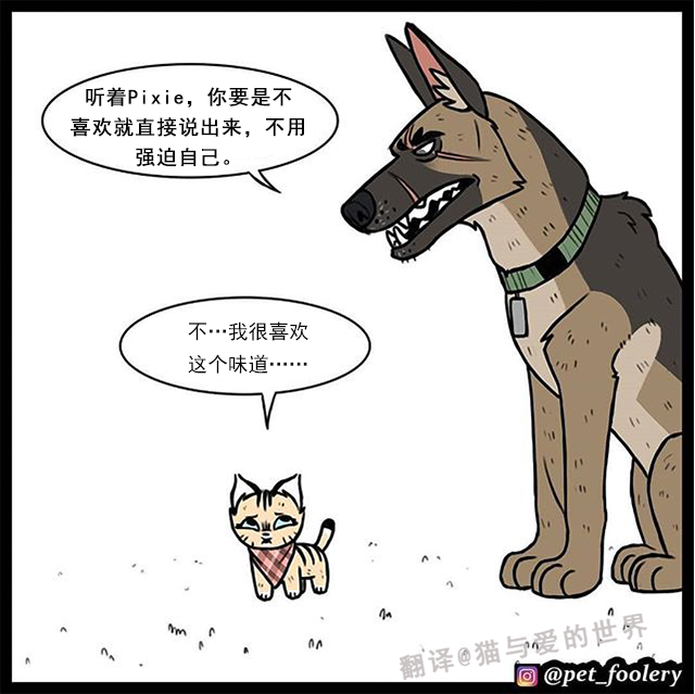 当温室小萌猫遇到天津大狼狗,相声般的戏剧生活开始了