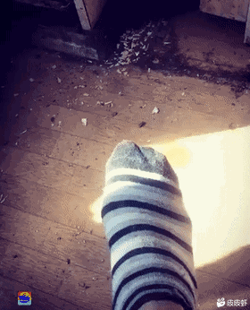 搞笑gif:十分具有立体画面感的一双脚,有没有感受到扑面而来的味道呢