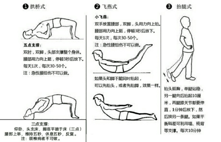 腰椎间盘突出的生活护理 / (1)日常腰背肌锻炼 (2)减轻腰背肌负重