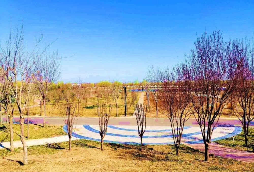 滑县东湖滑园,名副其实的春游踏青好去处