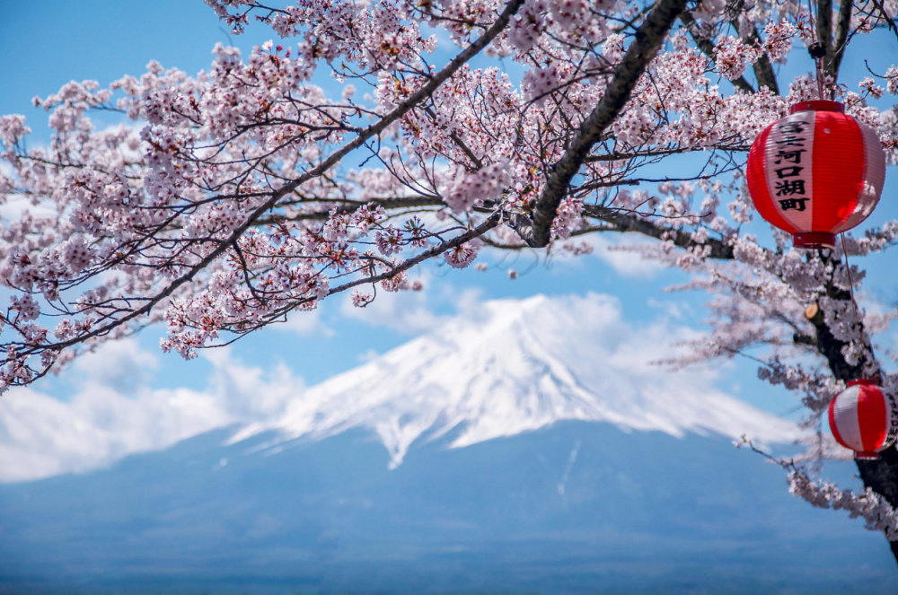 日本,富士山,浅间神社,德川幕府,私有财产