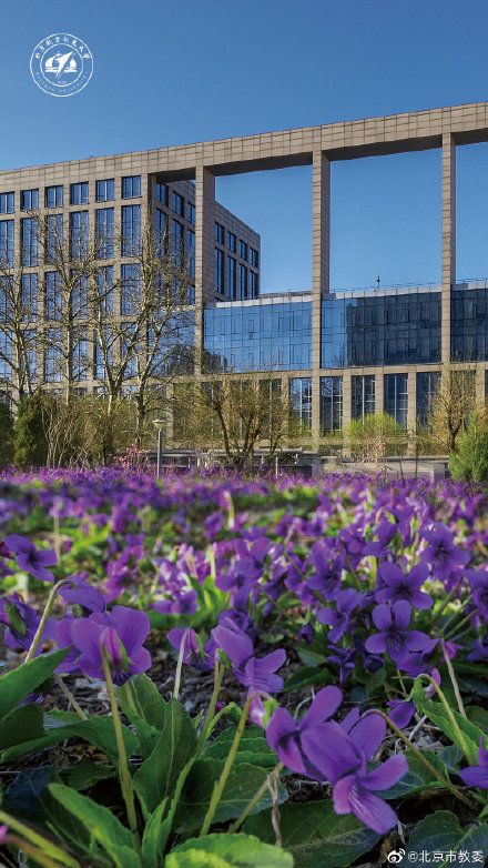 壁纸,北京航空航天大学