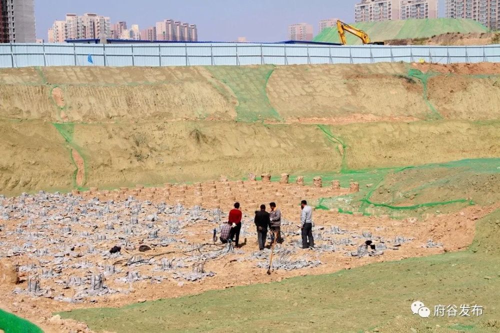 府谷县新府山片区配建小学项目开工建设