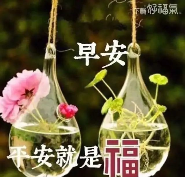 2020下雨天最暖心的早上好问候短信祝福语录