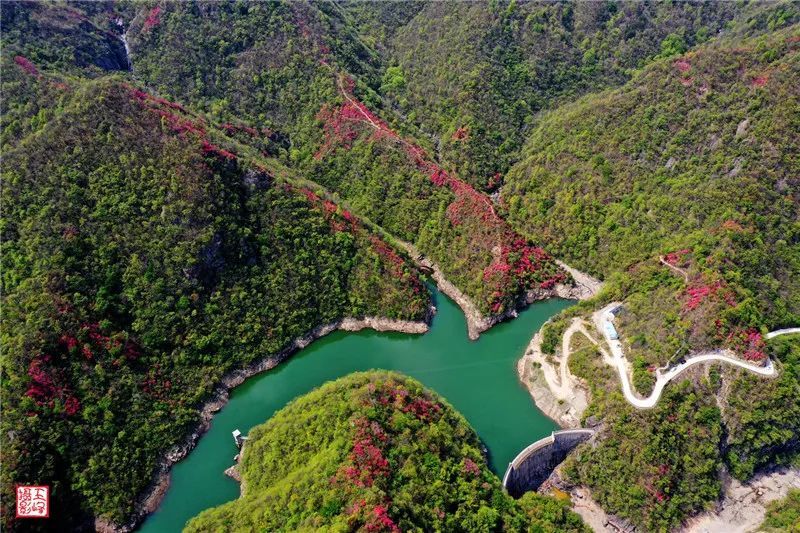 春游江淮,杜鹃岭,铁冲乡,岭上,金寨县,游人