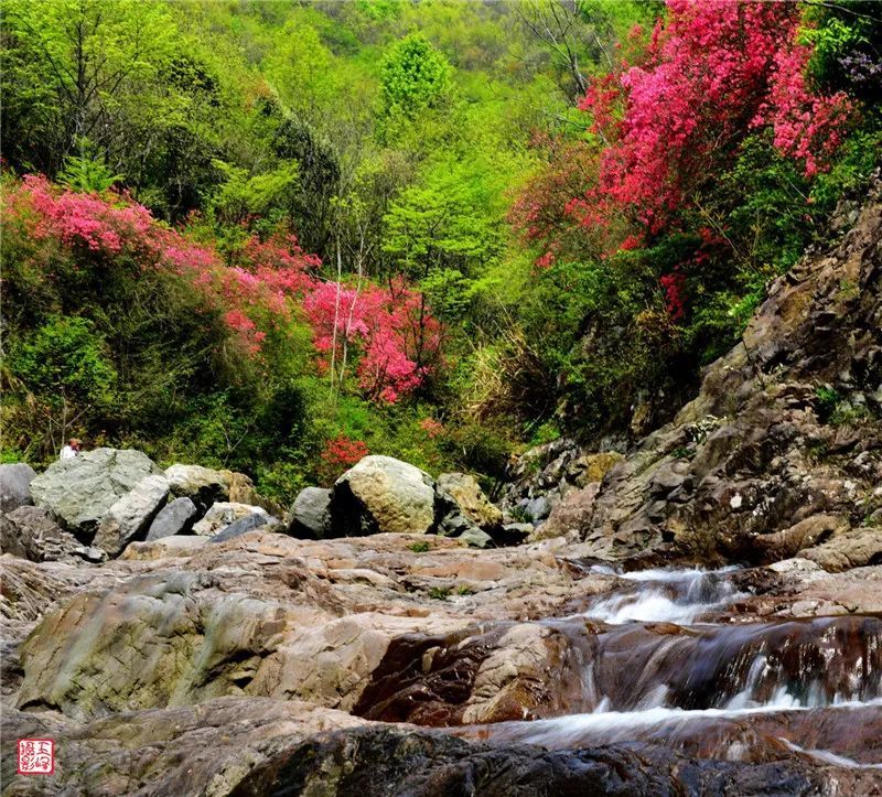 春游江淮,杜鹃岭,铁冲乡,岭上,金寨县,游人