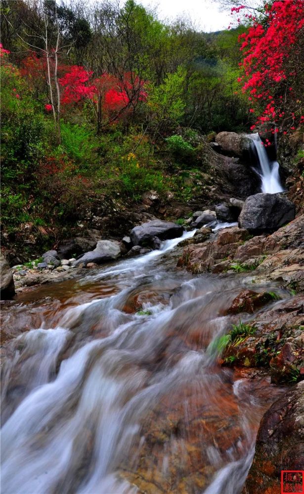 春游江淮,杜鹃岭,铁冲乡,岭上,金寨县,游人