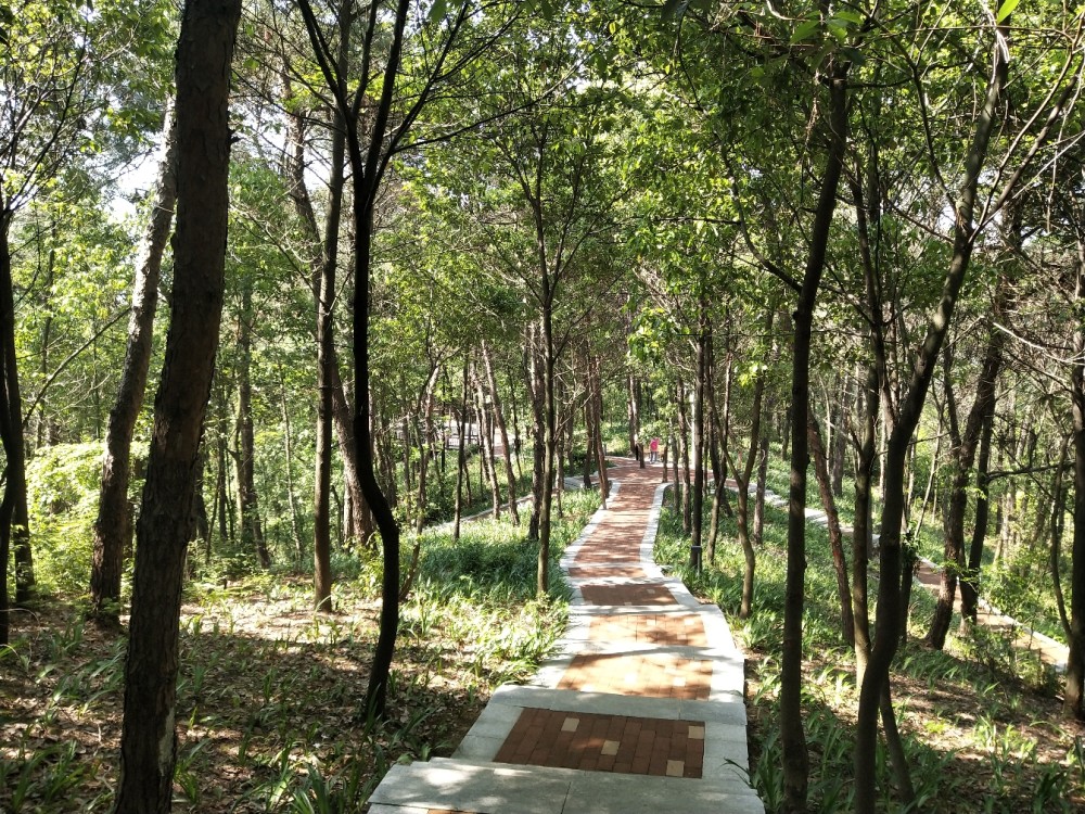 楼梯,岳阳,珍珠山公园