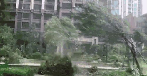 东莞8级大风 雷暴雨持续!更可怕的是