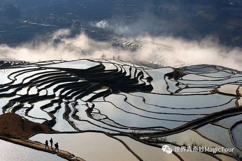 红河哈尼梯田,云南,梯田,红河州,哈尼族,元阳县