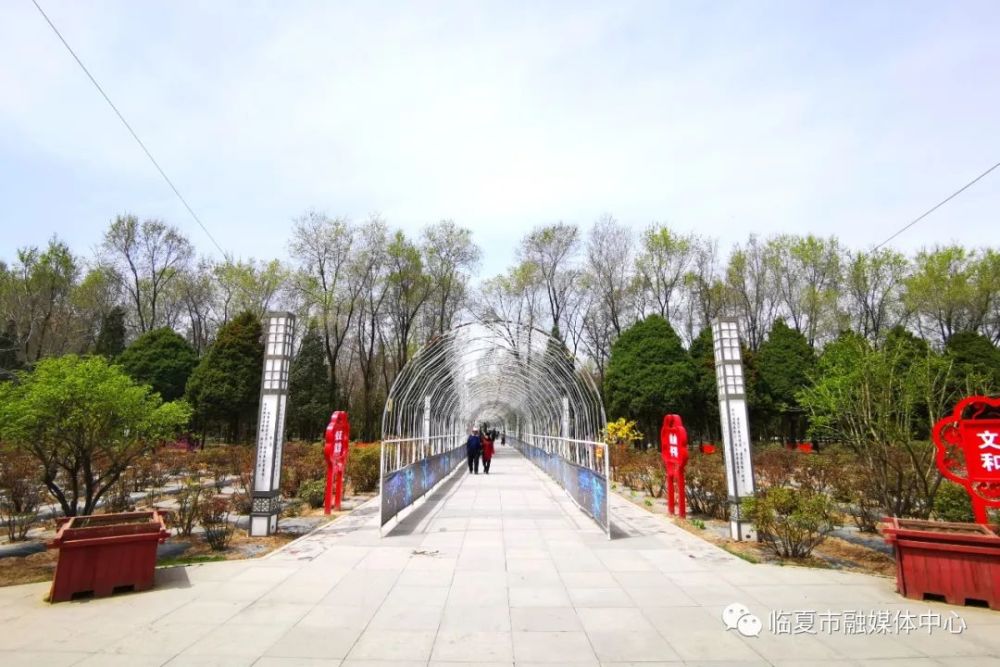 东郊公园,临夏市,春风