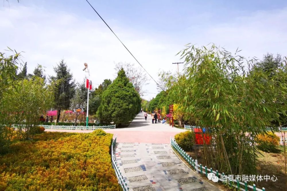东郊公园,临夏市,春风