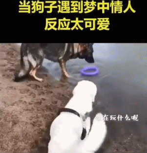 爆笑哥:老铁神评论靠你了! 上期神图 上期神吐槽