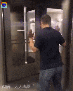 搞笑gif:吃饱没事把祸作,捡起石头丢蜂窝!