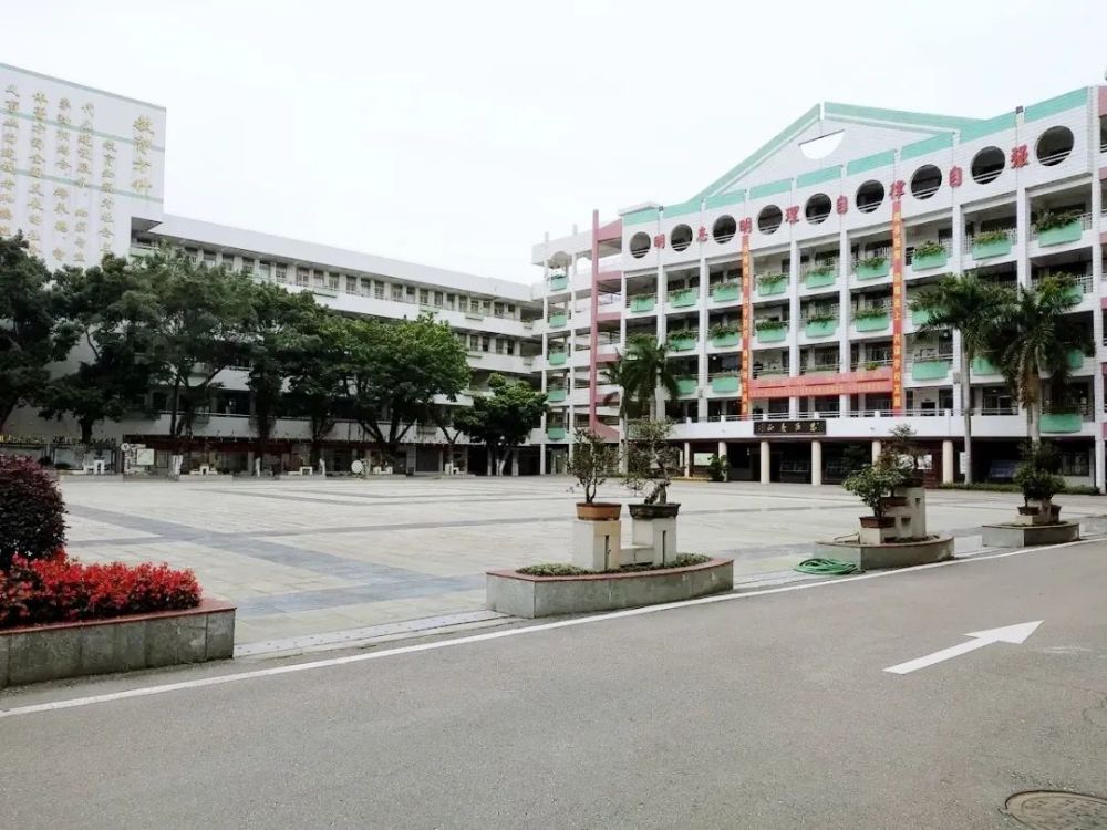 佛山,北滘镇,中心小学,顺德区