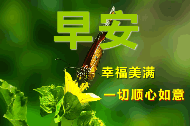 励志,早安,正能量