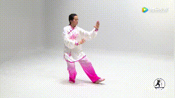 32式太极拳动图全解,新鲜出炉_腾讯新闻