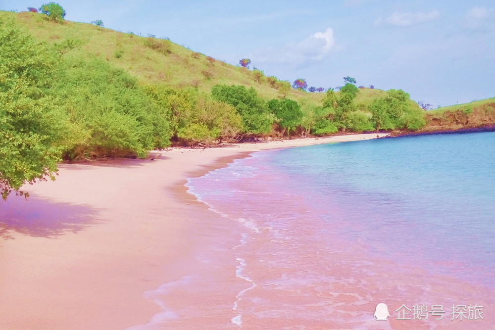 巴哈马是拉丁美洲的岛国,与美国隔海相望,粉色沙滩最出名
