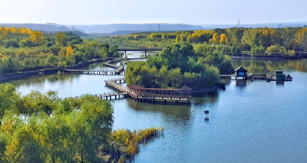 湿地,山西,国家湿地公园,洪洞汾河,黄河小浪底,桑干河