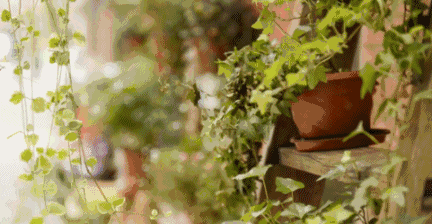 更是向往美好生活的态度