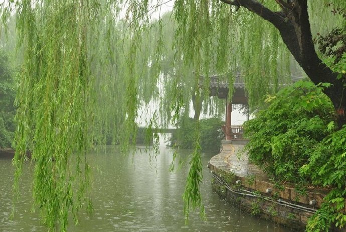 柳丝烟雨,朦胧楼阁——诗词美图集