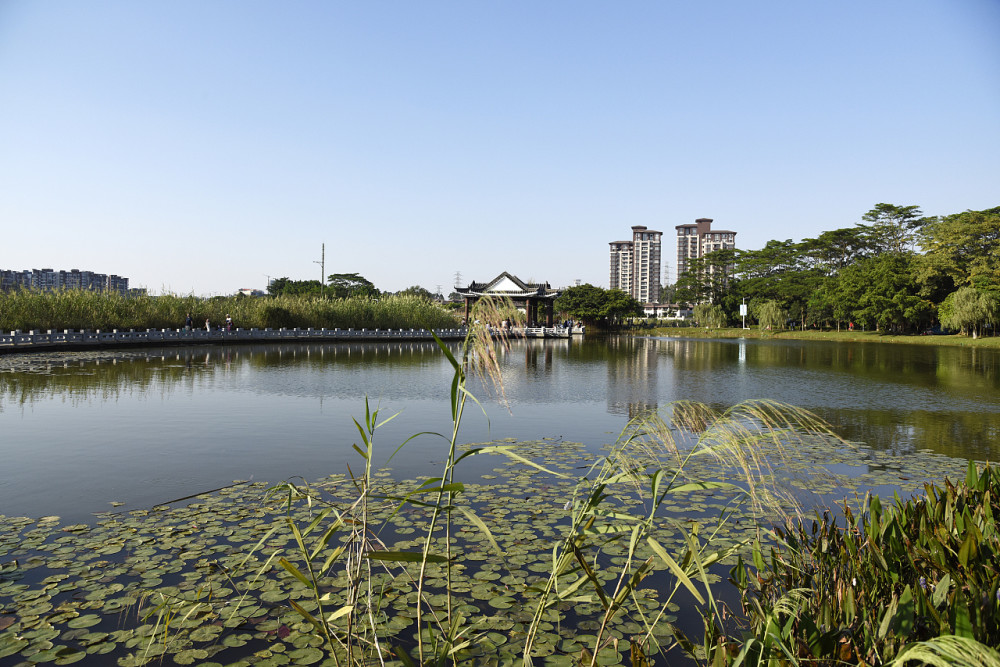 旅游景点,广东,东莞,湖泊,松山湖