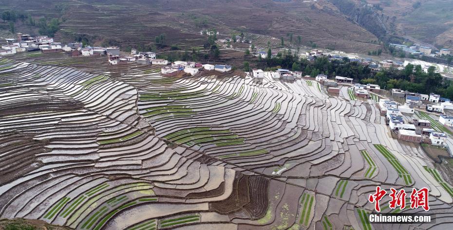 梯田,凉山彝族自治州,甘洛县,美如画,四川,刘忠俊