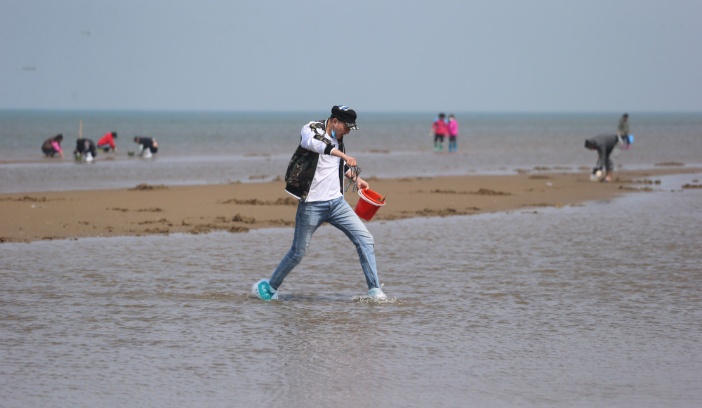 4月15日,阳光明媚,微风习习,夏家河子海岸迎来大潮,吸引了众多赶海的