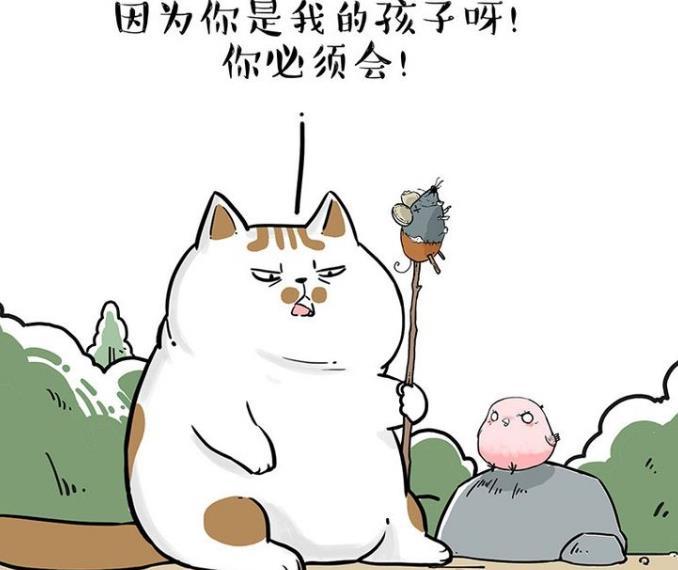 吾皇巴扎黑:傲霸教收养的小鸟抓老鼠怎么都教不会,吾皇前去劝架差点被