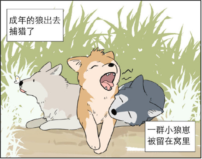 暖心漫画:受到狼族排挤的小奶狗,狼王成为依靠