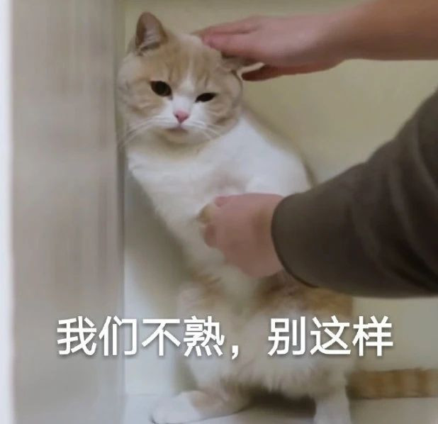 表情包,沙雕表情包,沙雕文案,文案,可爱句子