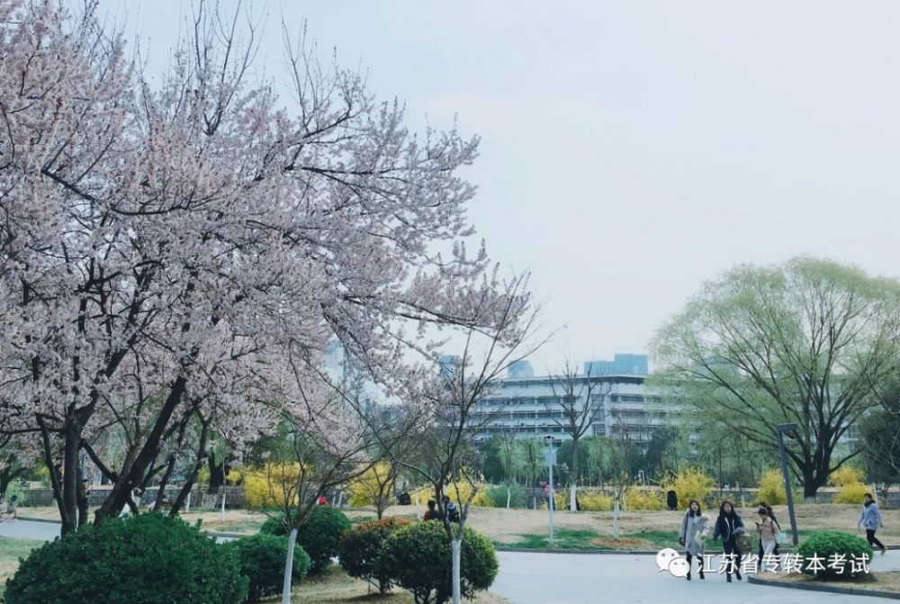 江苏师范大学